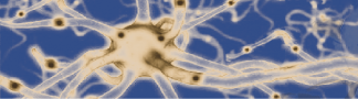 Neuron graphic